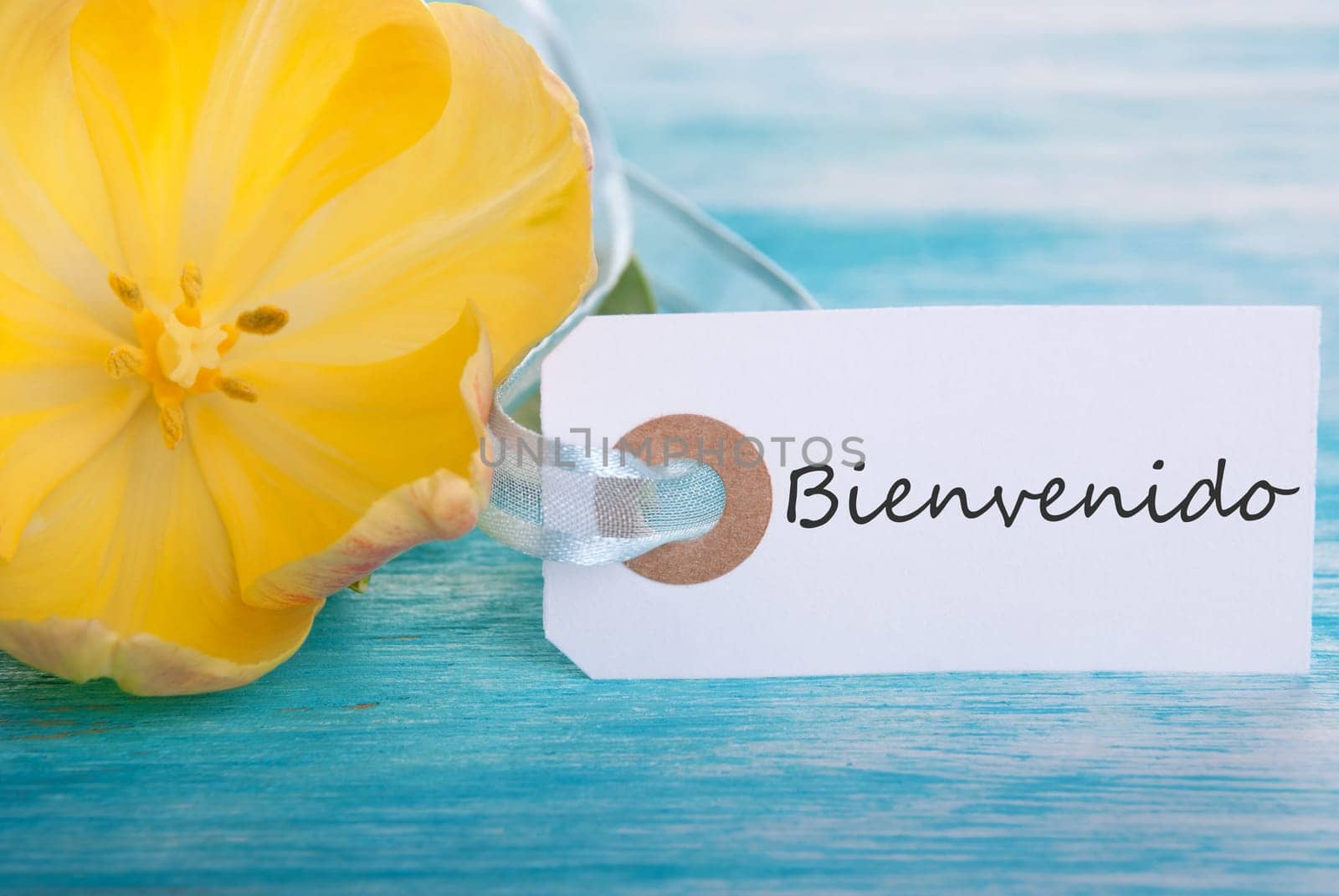 Tag with the Spanish Word Bienvenido which means Welcome