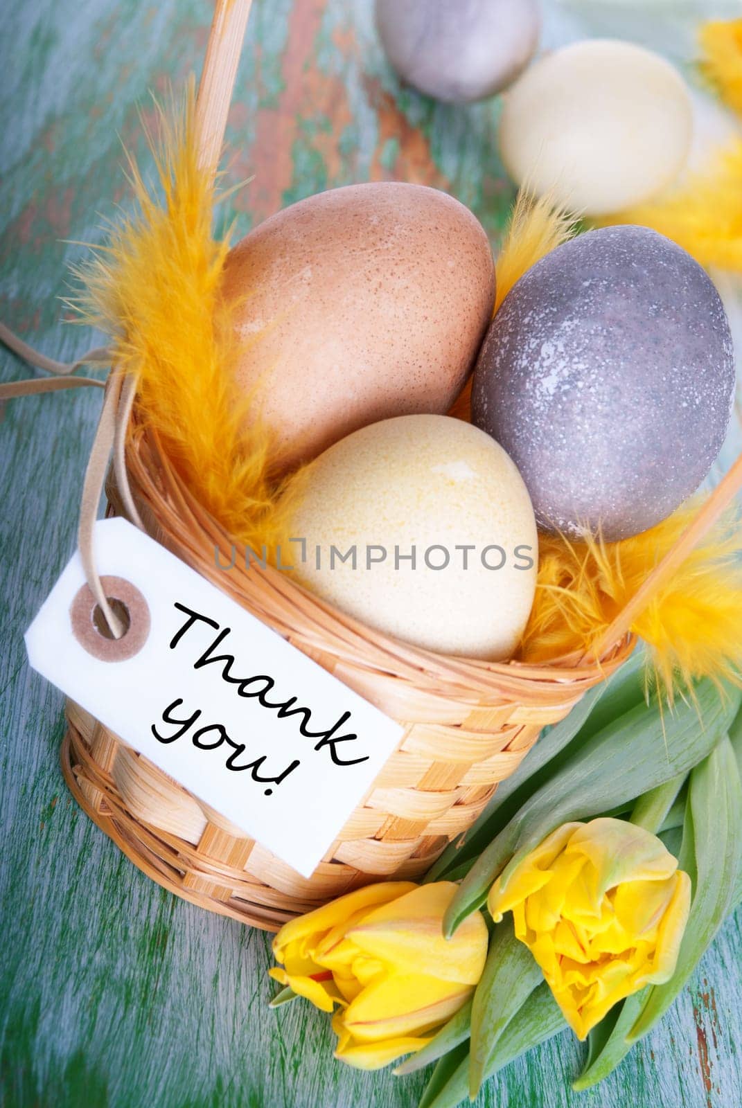 Easter Nest with Eggs and Label with Thank You