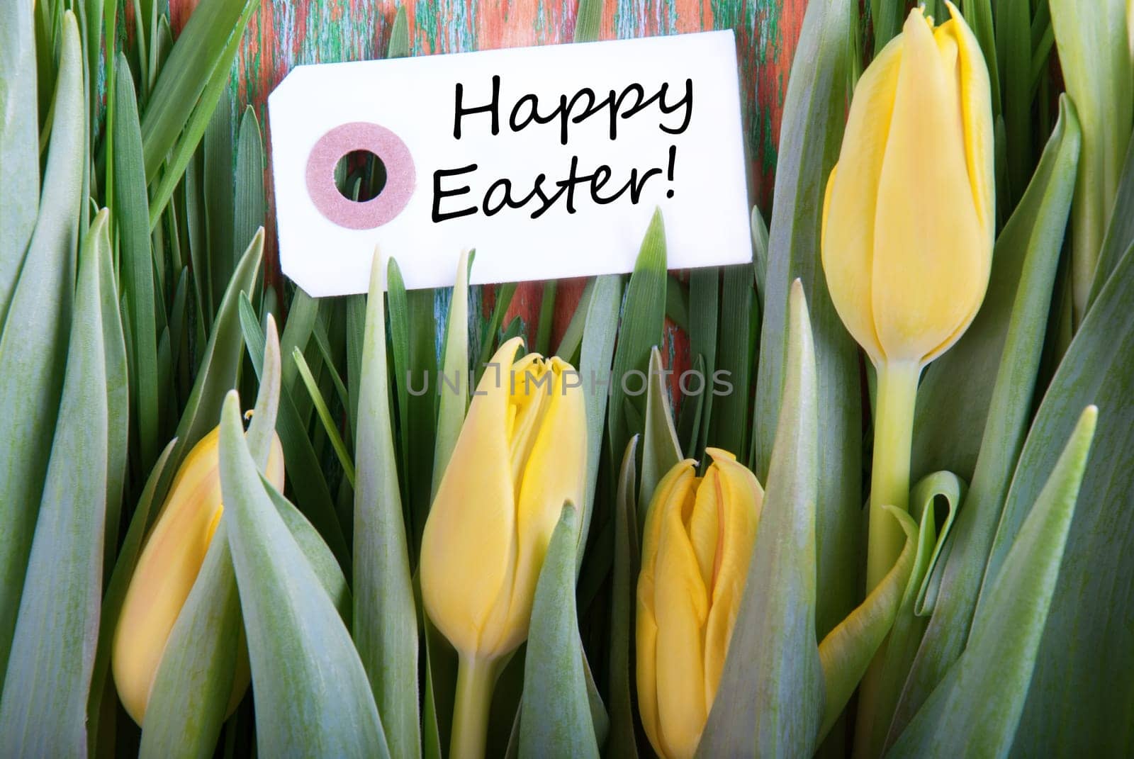 Happy Easter on a Label with Yellow Tulips