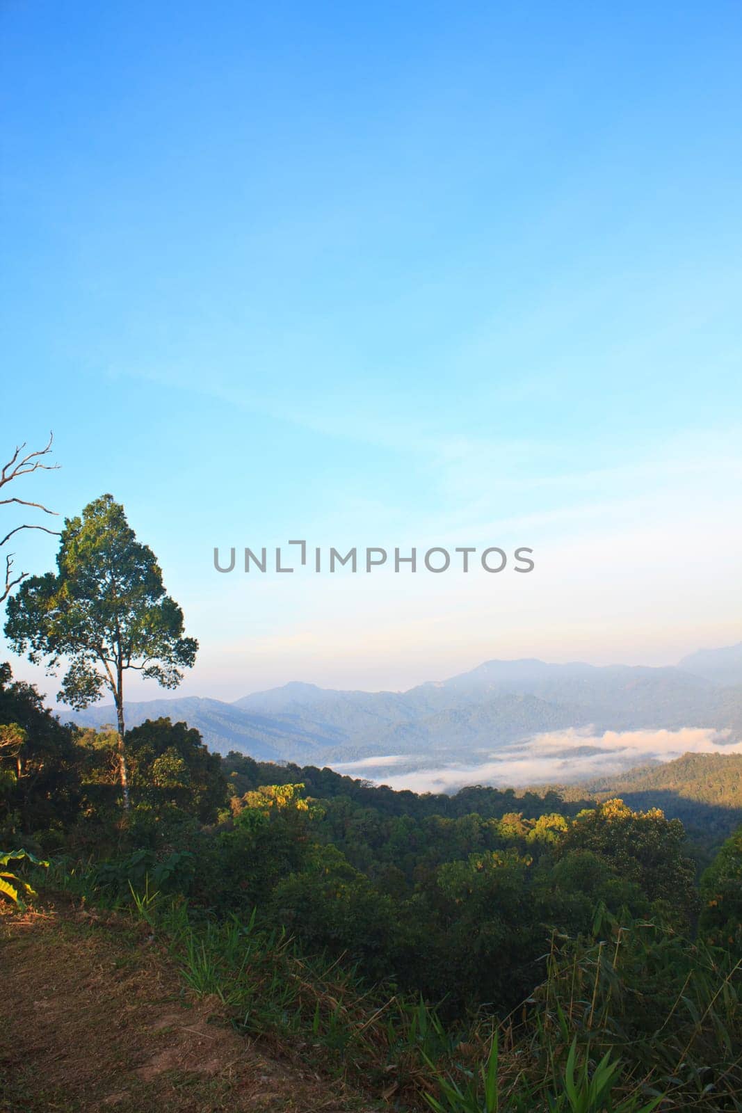 sea of fog with forests as foreground. This place is in the Kaeng Krachan national park, Thailand