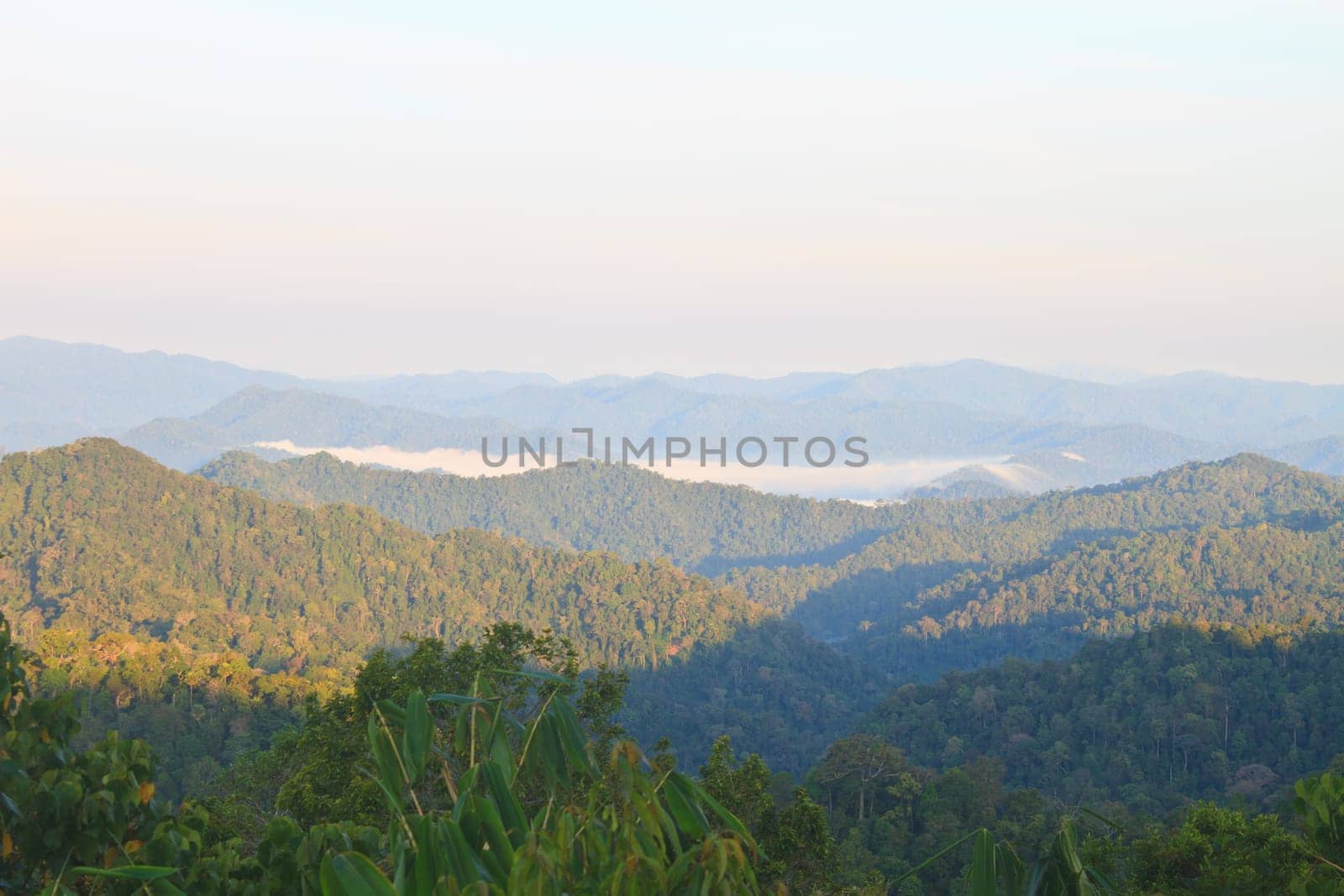 sea of fog with forests as foreground. This place is in the Kaeng Krachan national park, Thailand