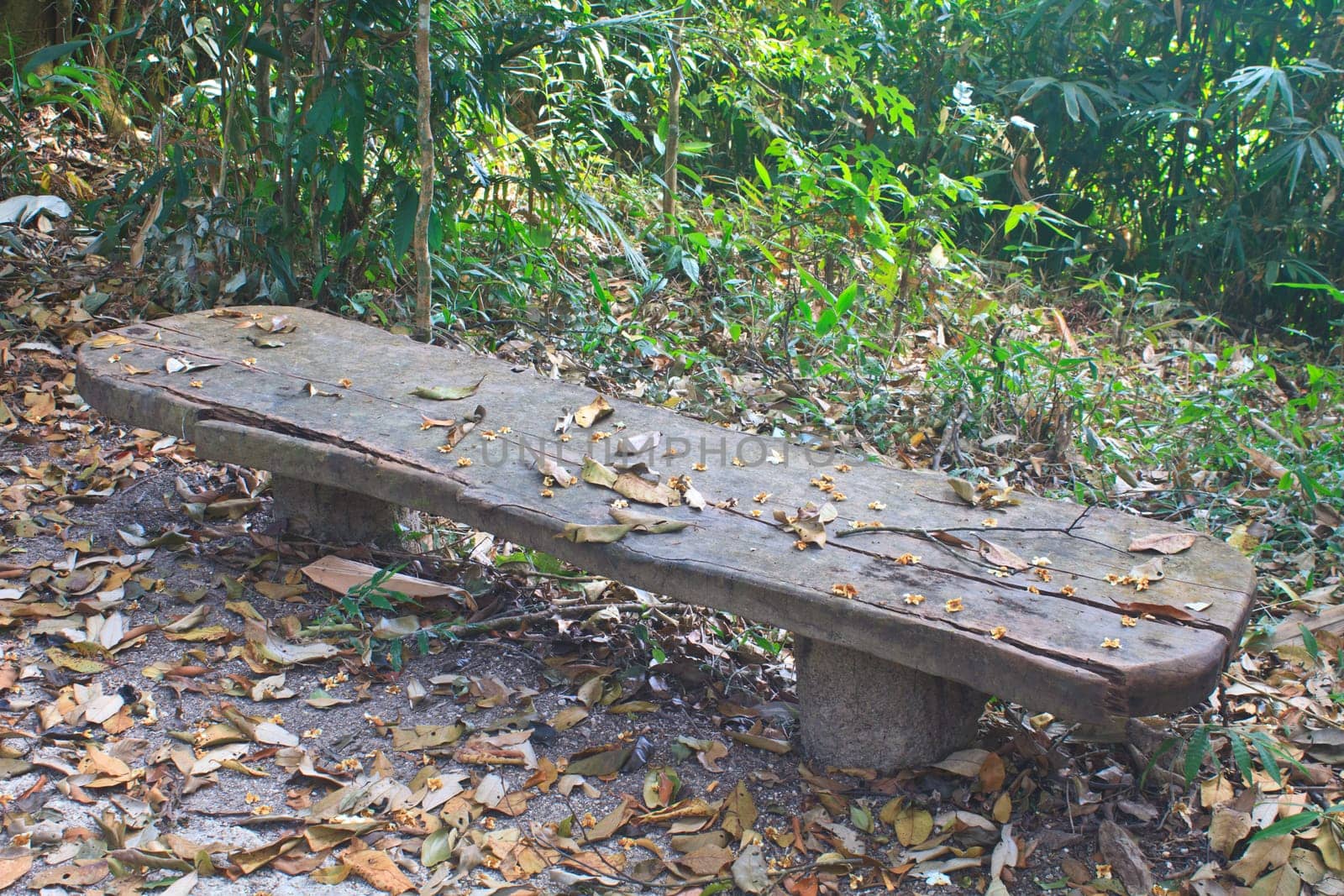 Bench in the park for rest