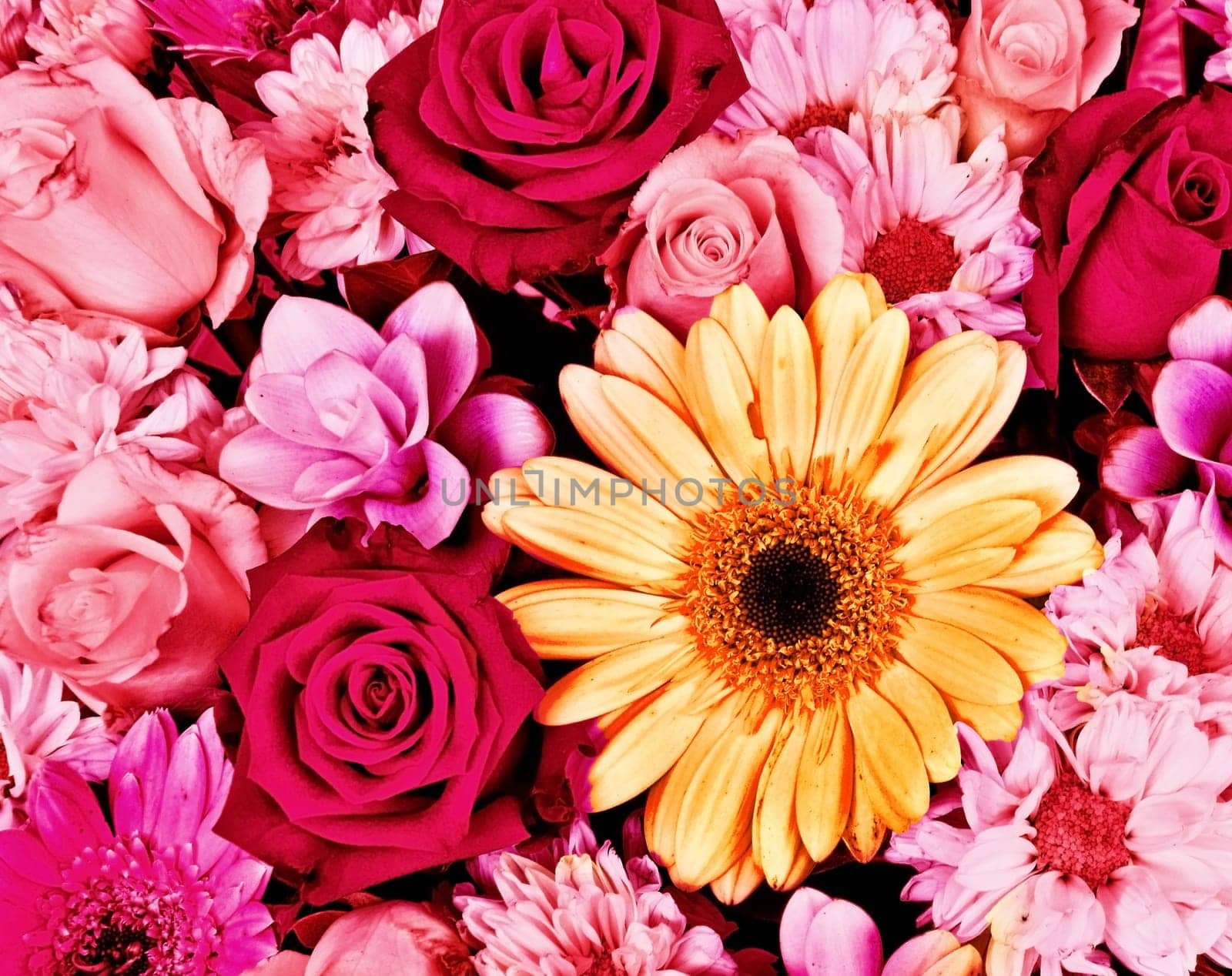 Flower background