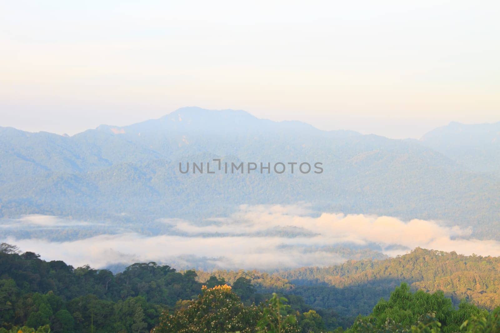 sea of fog with forests as foreground. This place is in the Kaeng Krachan national park, Thailand