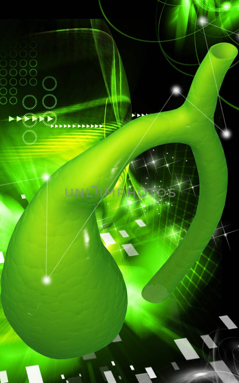 Digital illustration of pancreas in colour background