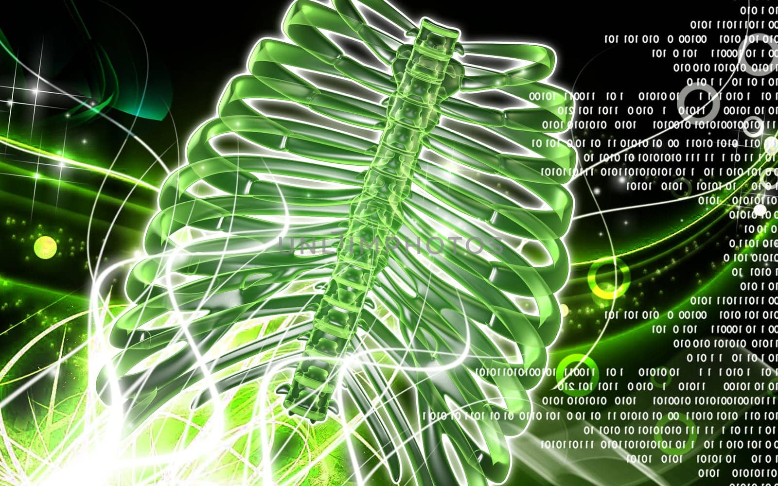Digital illustration of rib cage in colour background