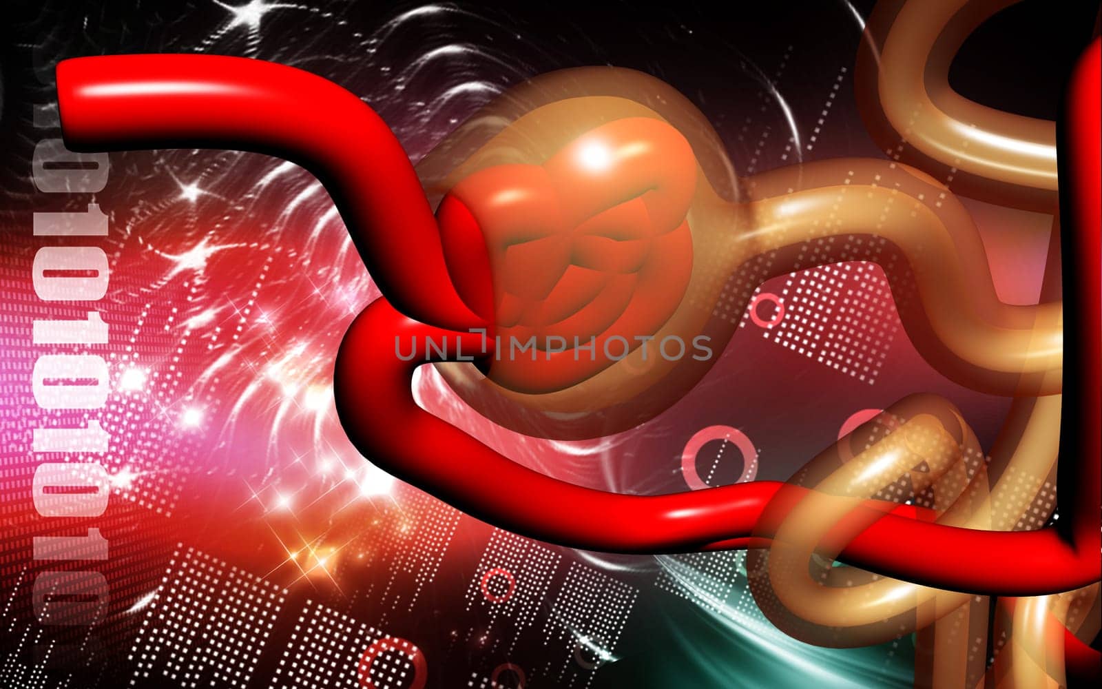 Digital illustration of nephron in colour background