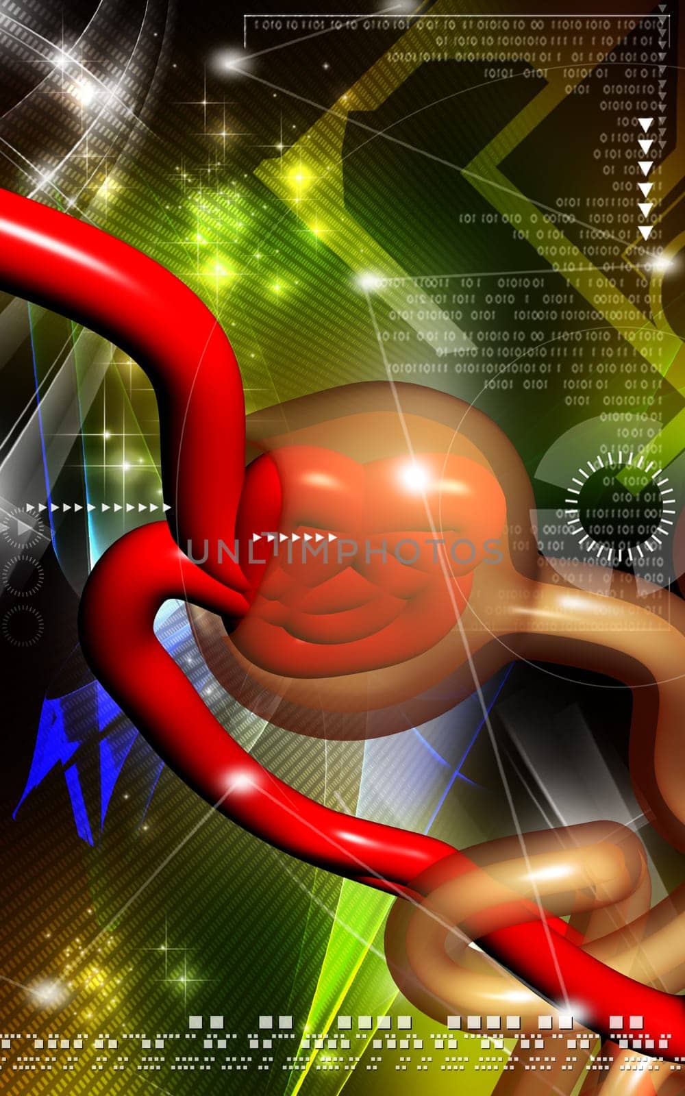 Digital illustration of nephron in colour background