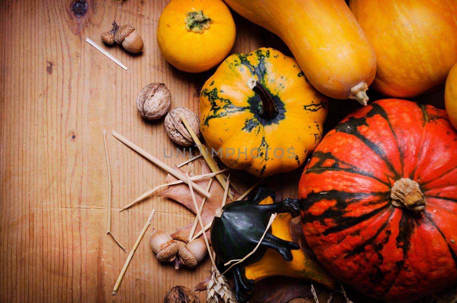 Autumn concept with seasonal fruits and vegetables