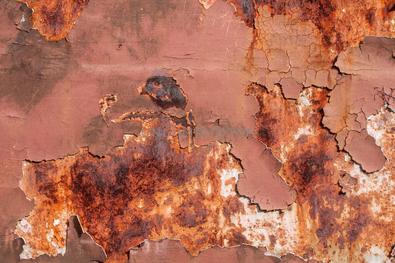 Metal weathered surface with old cracked paint layer as background