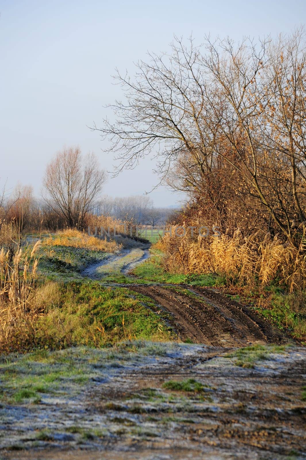 Dirt road and hiking trail along the Wulka in Burgenland