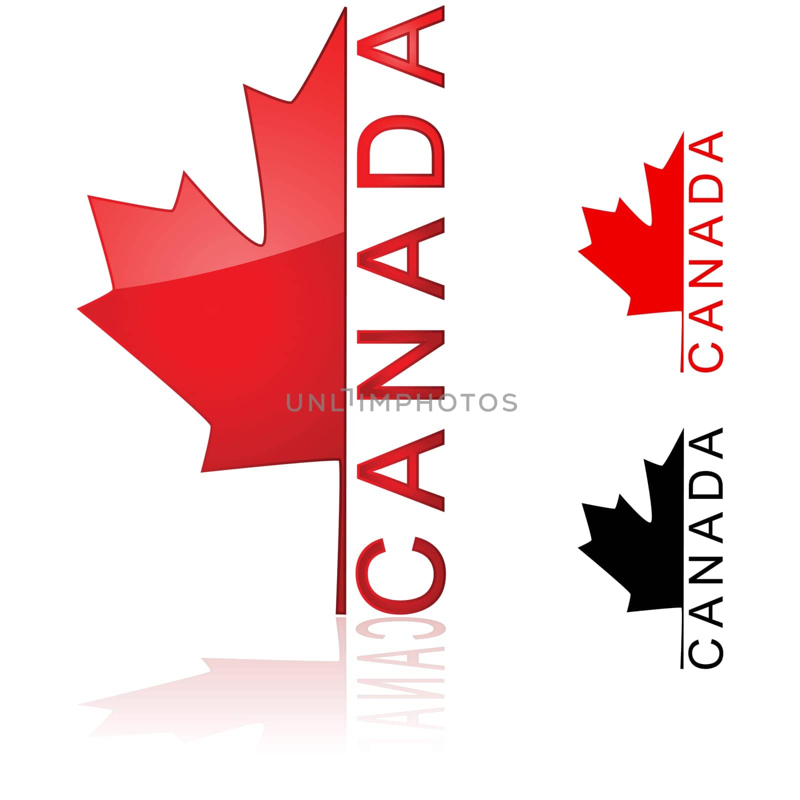 Concept illustration showing half of a maple leaf with the word Canada beside it