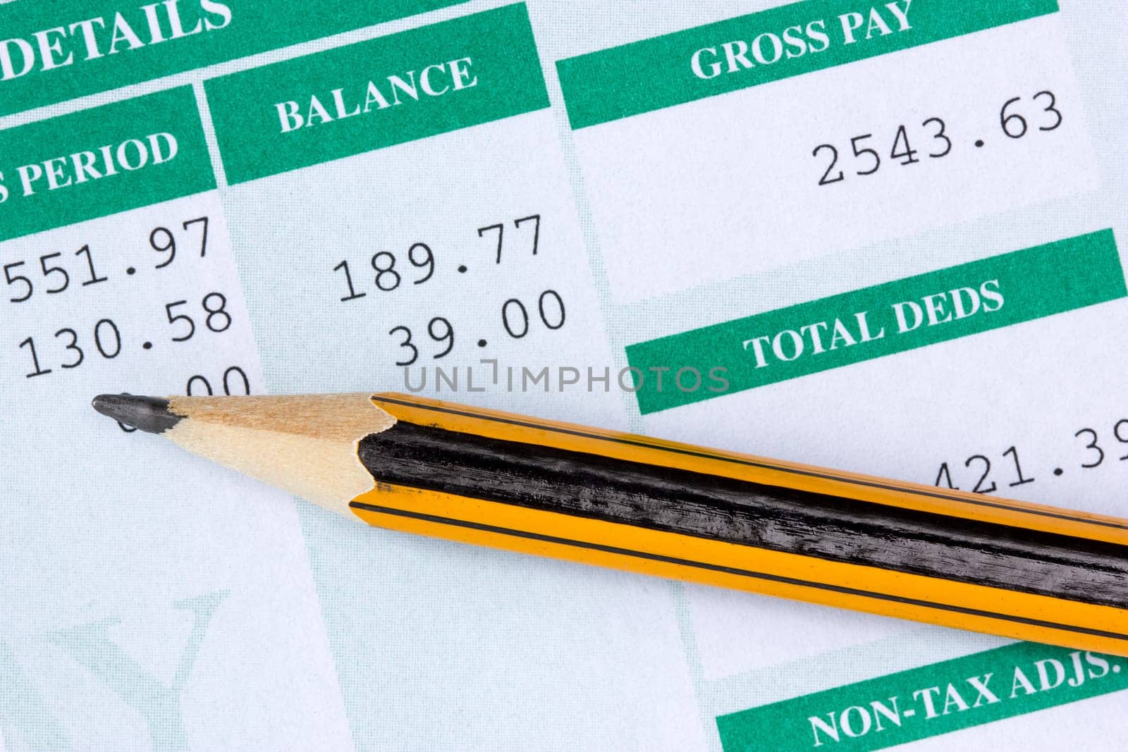 Pencil with the statement of payroll details