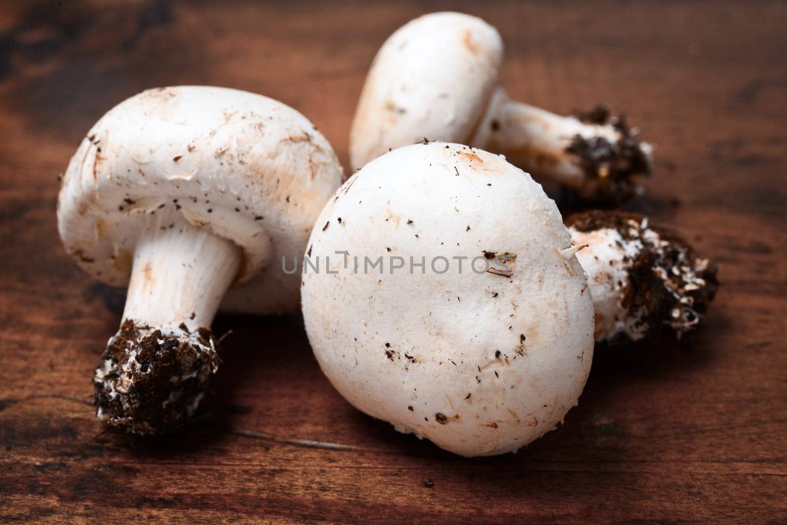 fresh champignon mushrooms. Freshly picked mushrooms, a resting a wooden table