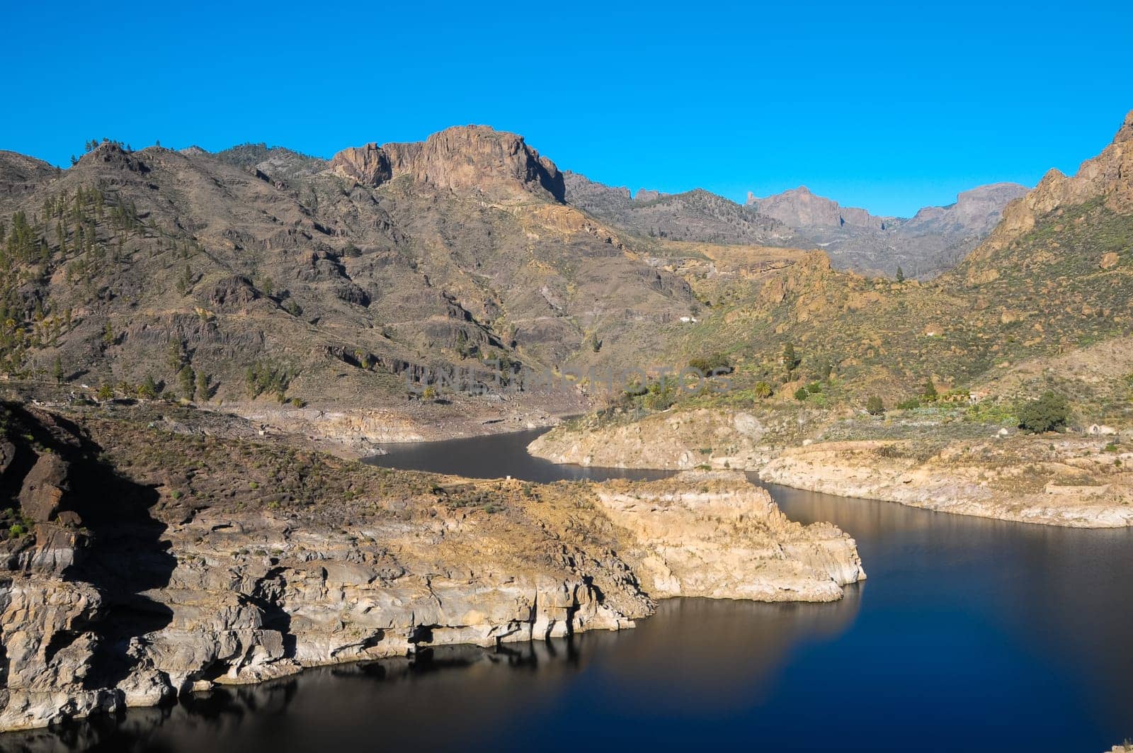 River with Dark Black Water in Canary Islands