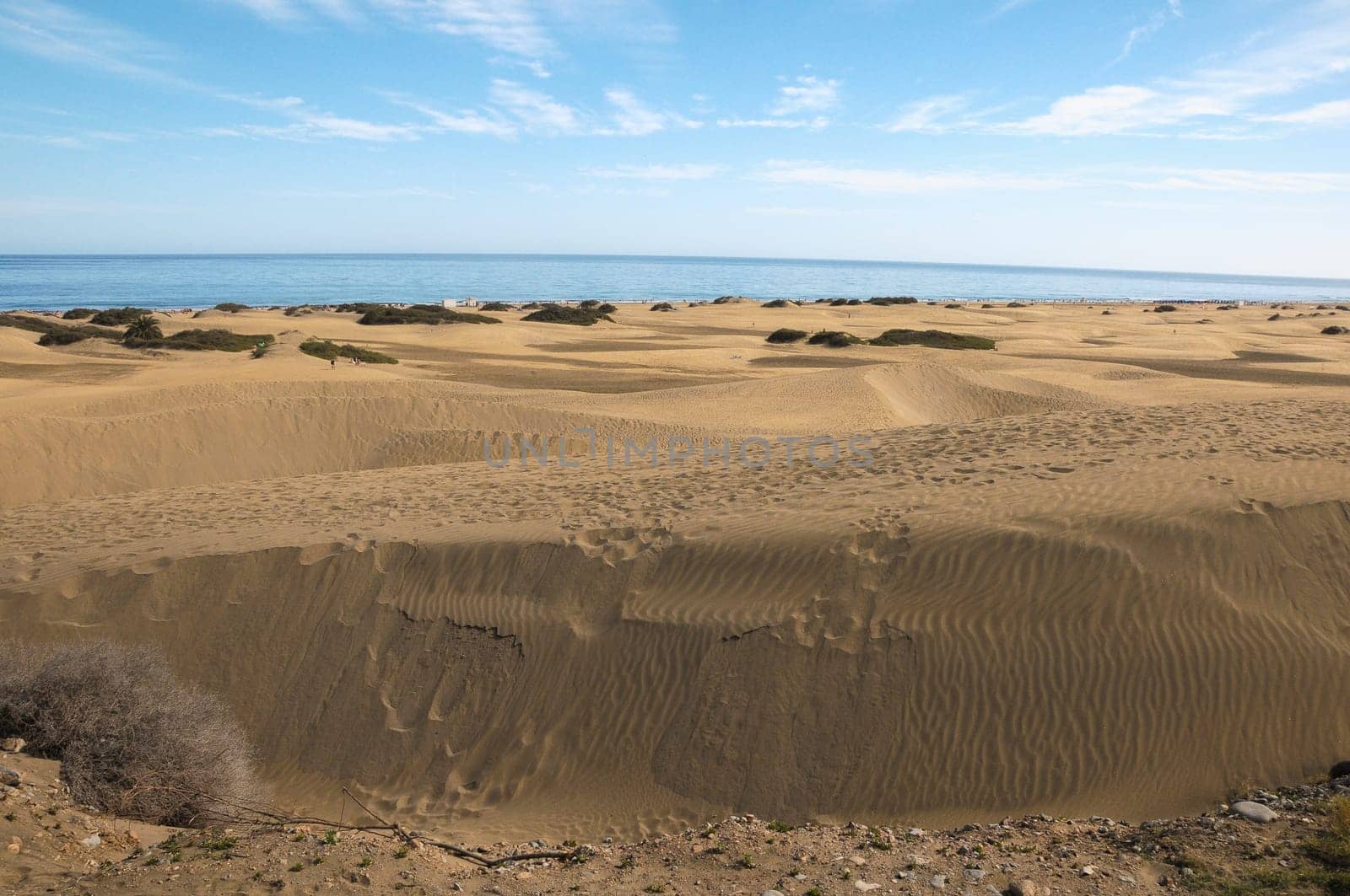 African European Sand Dune Desert Landscape in Gran Canaria Island Spain