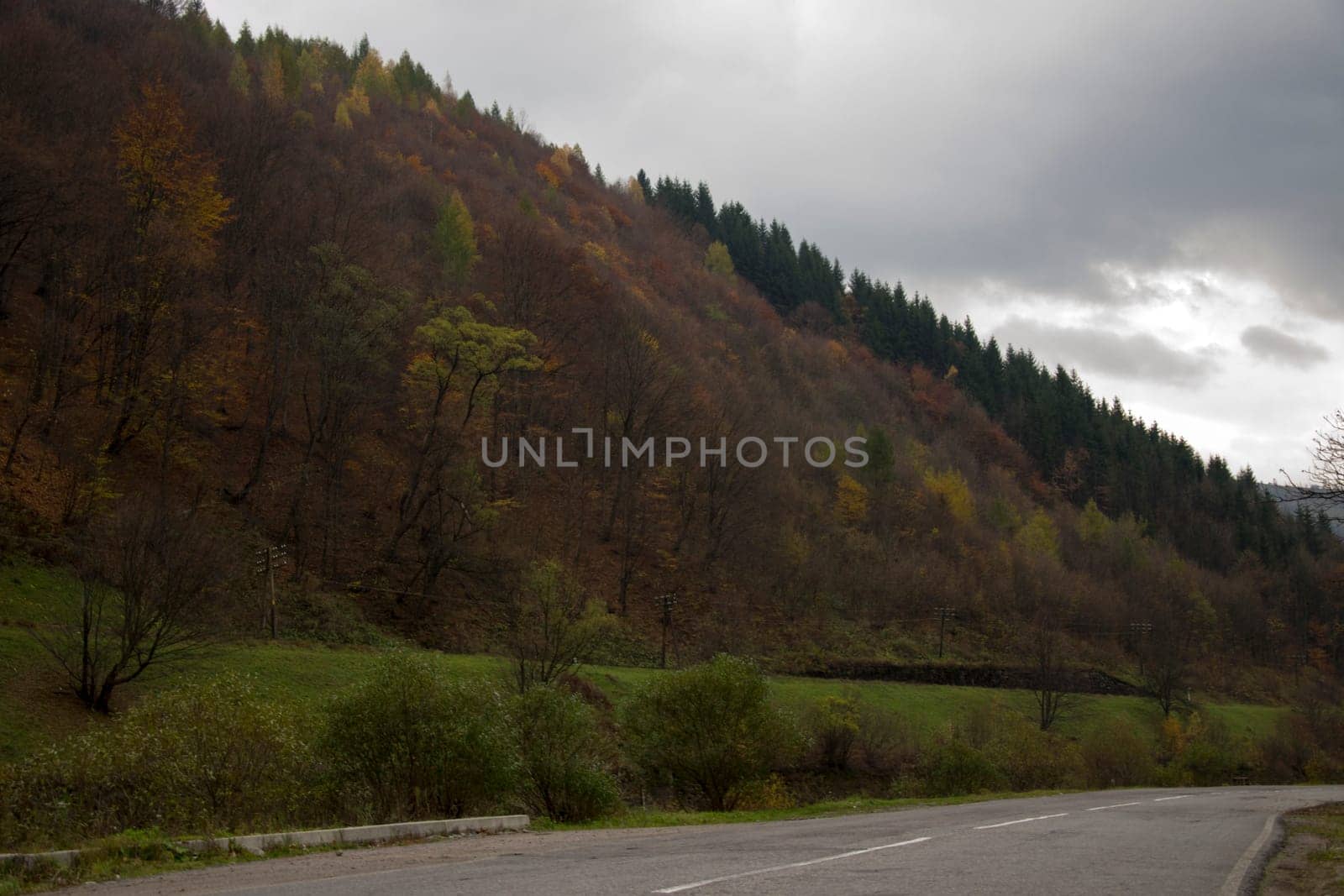 The road to the house in the mountains
