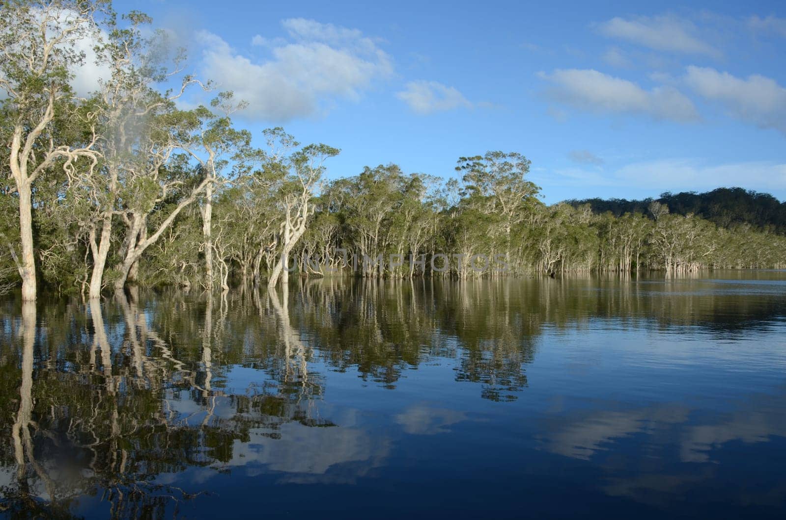 Reflection at Myall Lake