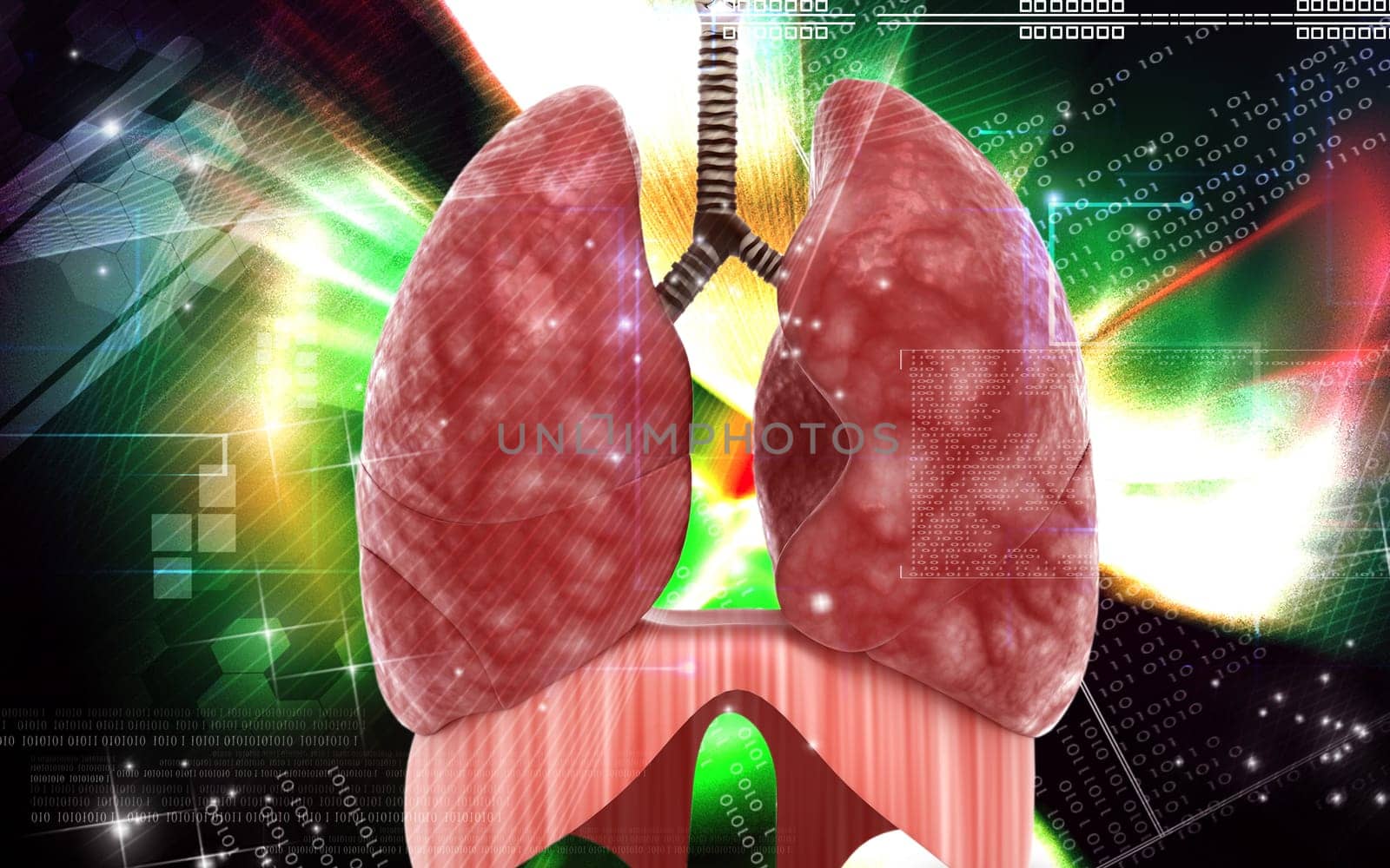 Digital illustration of human lungs in colour background