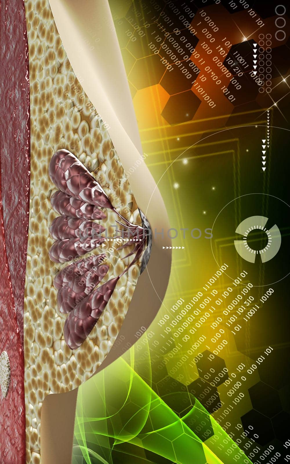 Digital illustration of breast in colour background