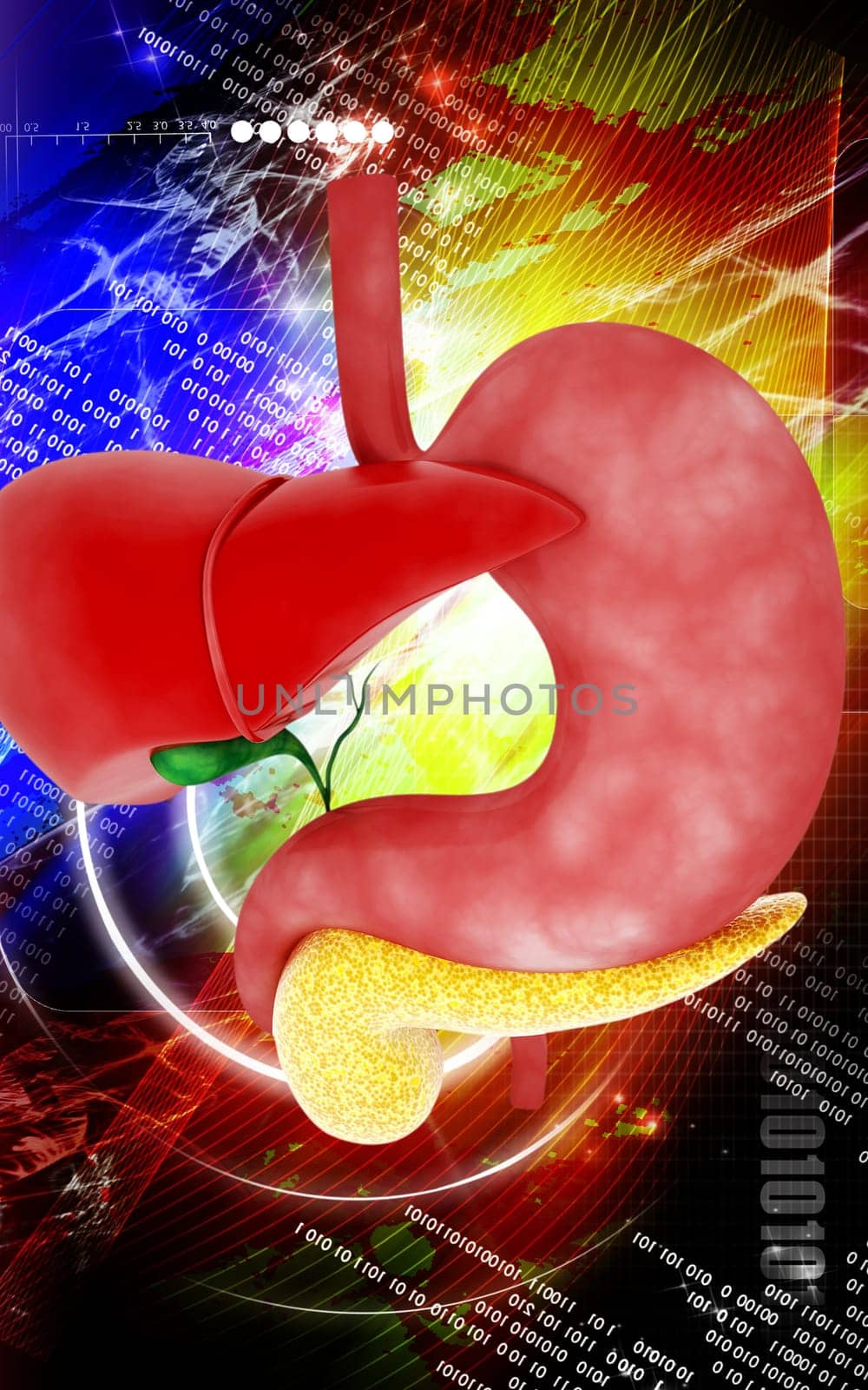 Digital illustration of Liver and stomach in colour background