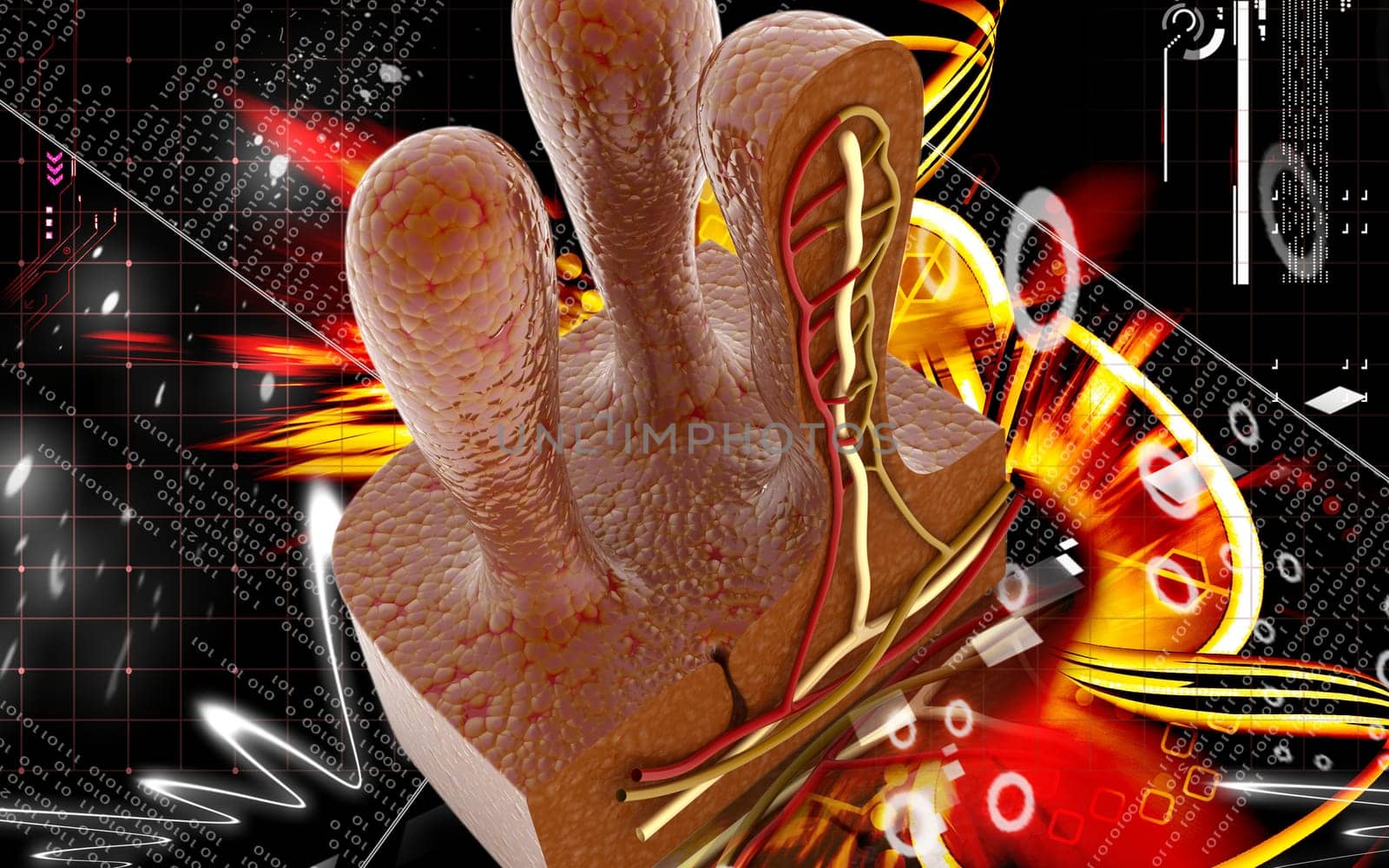 Digital illustration of Villus in colour background