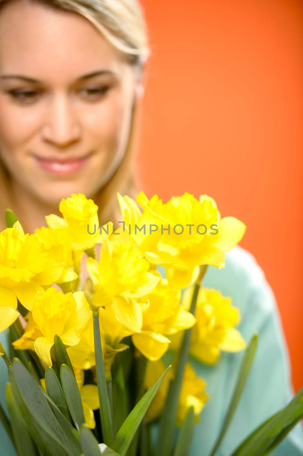 Woman with spring yellow flower narcissus on orange background