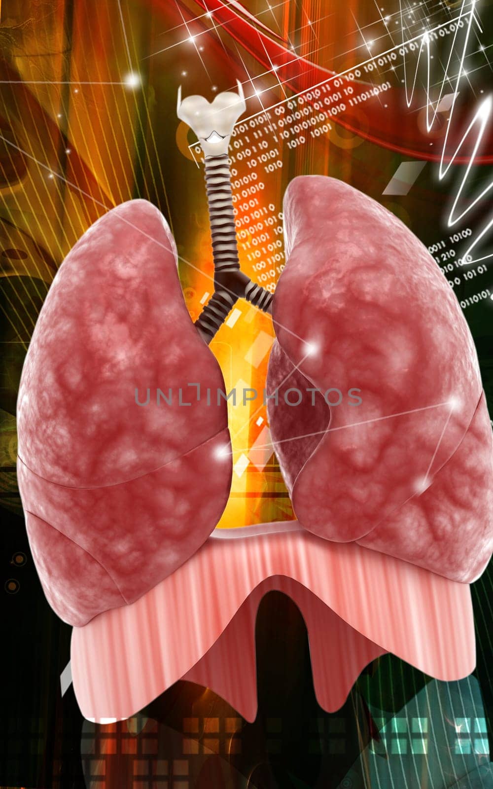 Digital illustration of human lungs in colour background