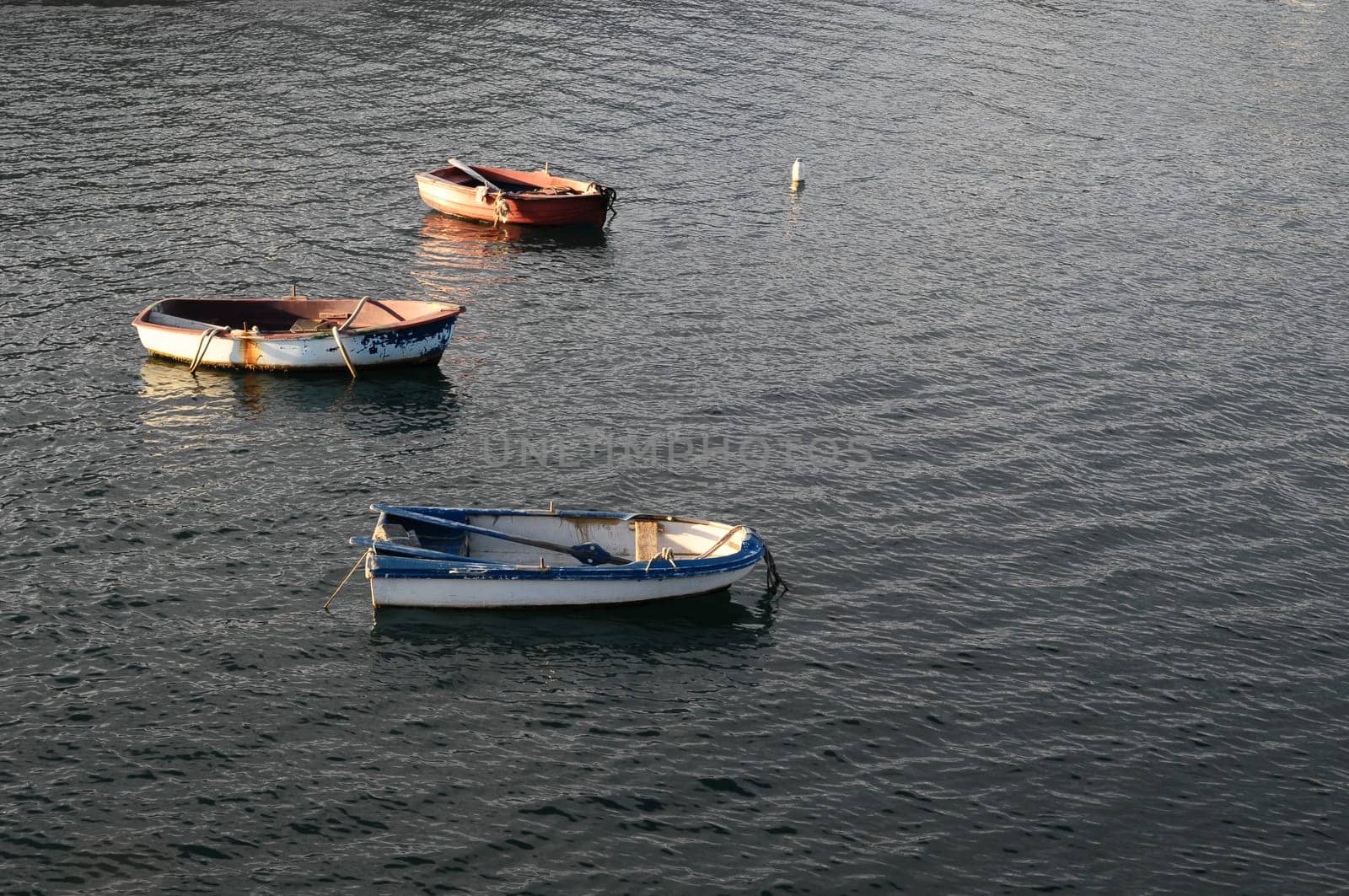 Backlight Silhouette Boats at Sunset in the Atlantic Ocean