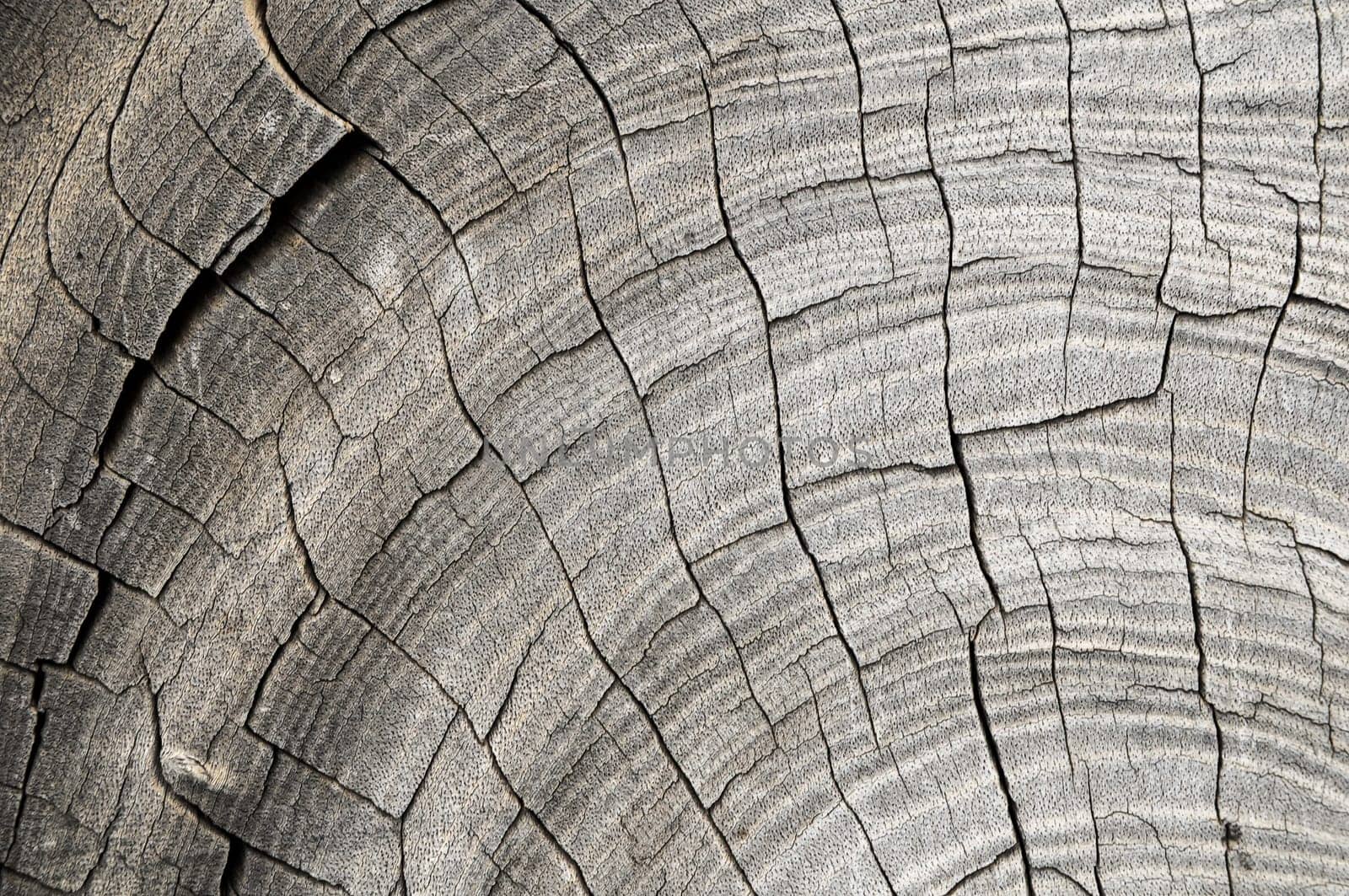 Old Vintage Architecture Wood Pattern Trunk Texture