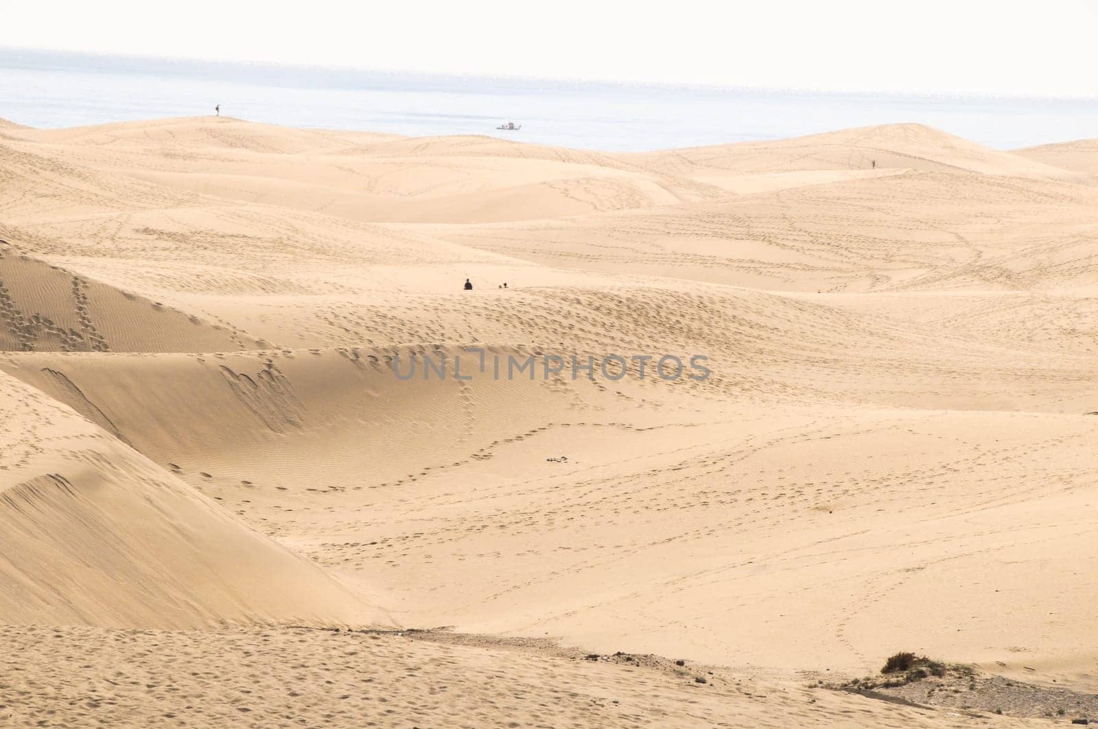 African European Sand Dune Desert Landscape in Gran Canaria Island Spain