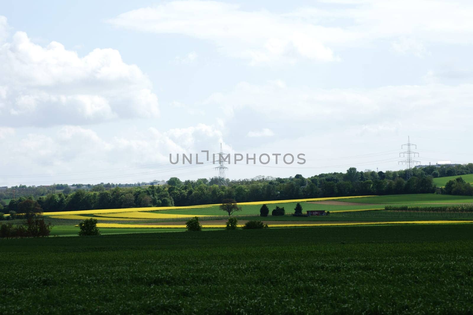 The photograph of green fields and a blooming rapeseed field.