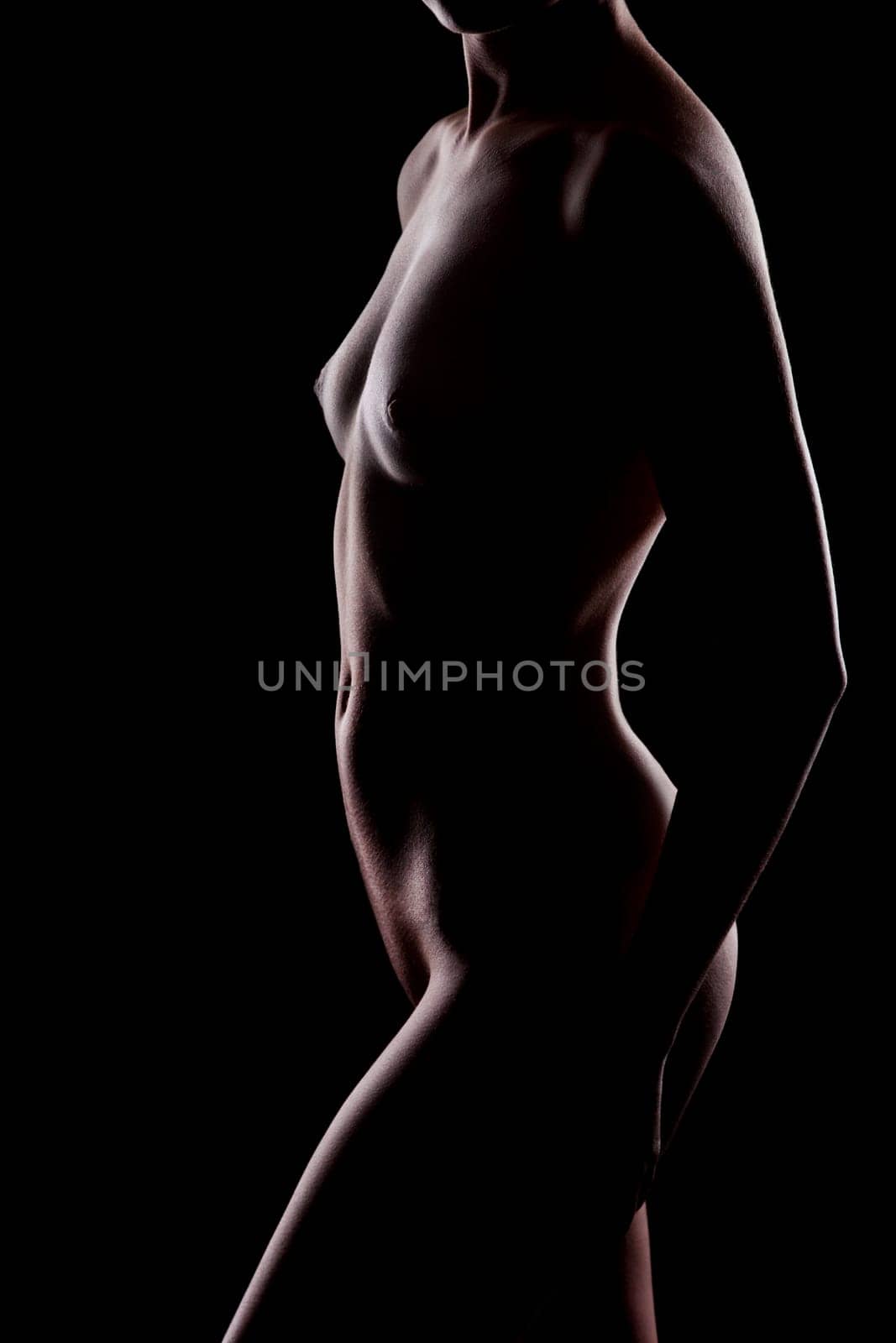 Erotic contour of beautiful nude woman on black background