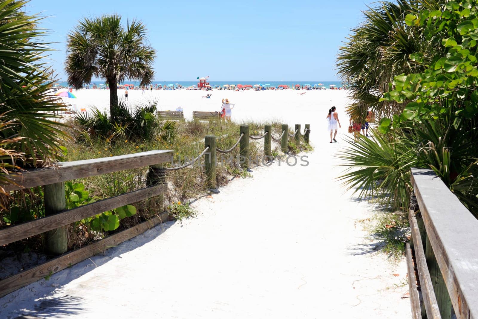 SIESTA KEY, FLORIDA - MAY 9, 2013: People entering very wide and colorful Siesta Beach on Siesta Key through a sand covered wood walkway with wood railings surrounded by foliage on a sunny day.