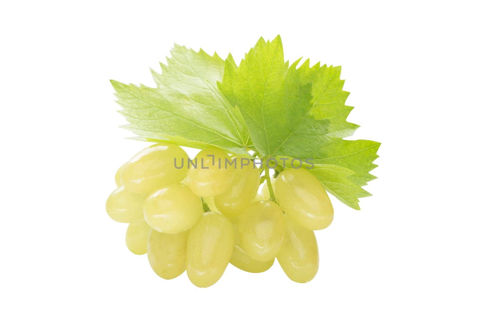 Ripe grapes with leaf, isolated on white background.  (with clipping work path)