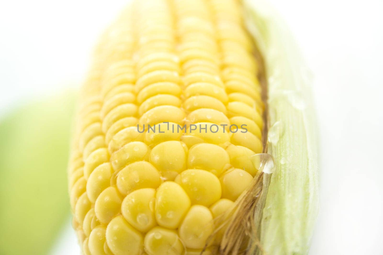 corn cob between green leaves .