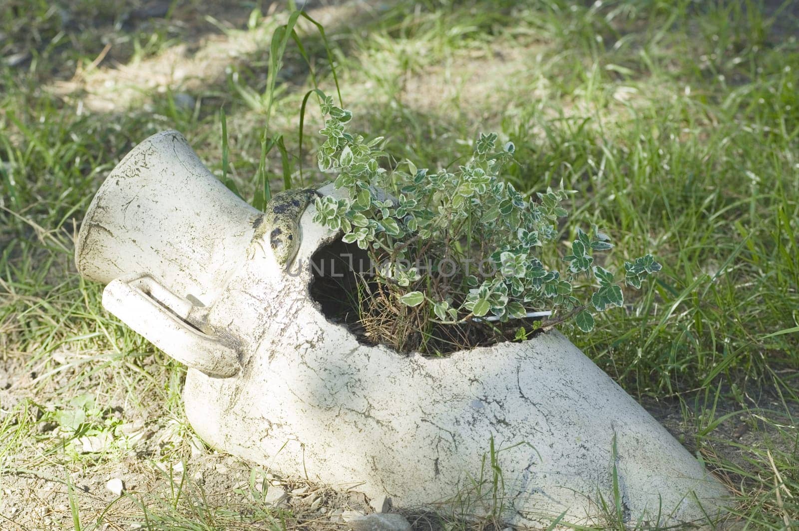 Antique jug with flowers on green grass