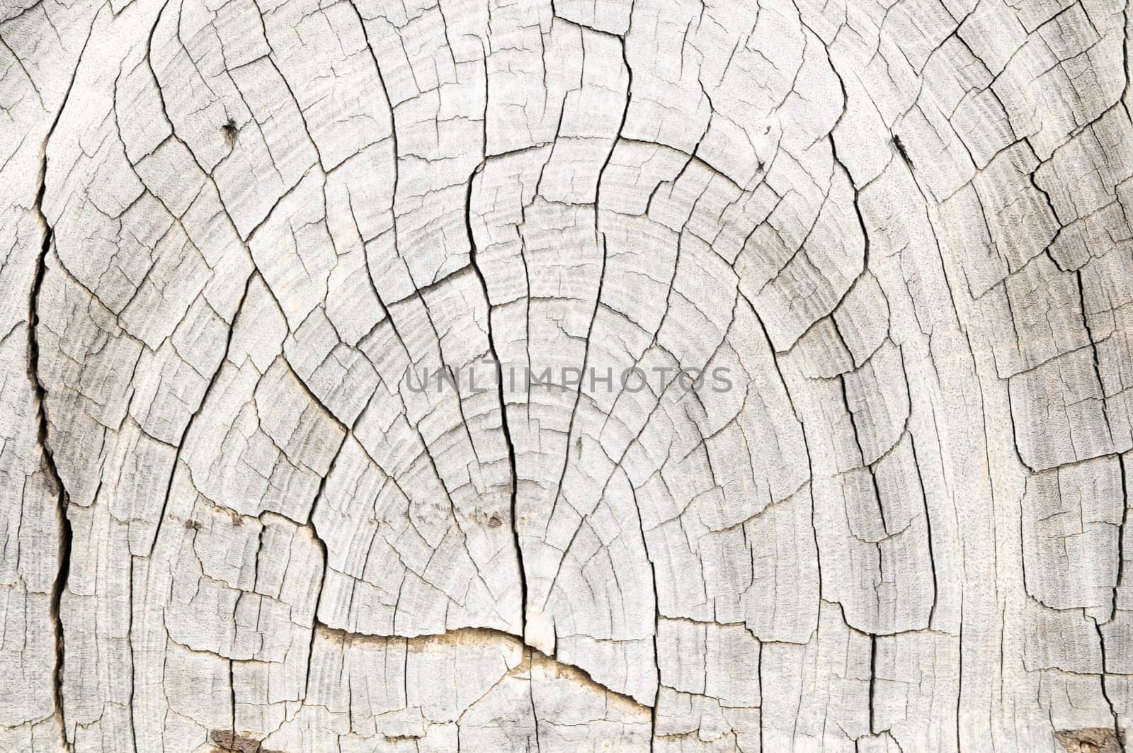 Old Vintage Architecture Wood Pattern Trunk Texture