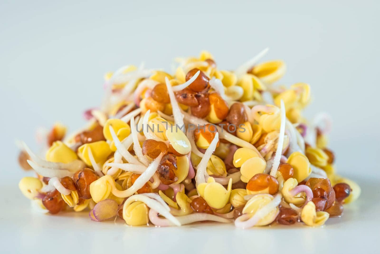 Radish sprouts