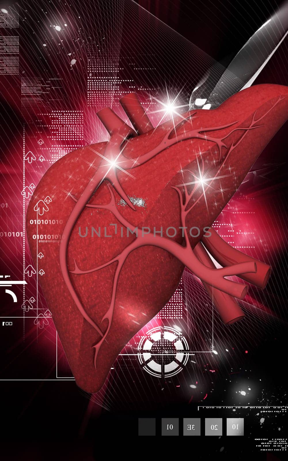 Digital illustration of liver in colour background