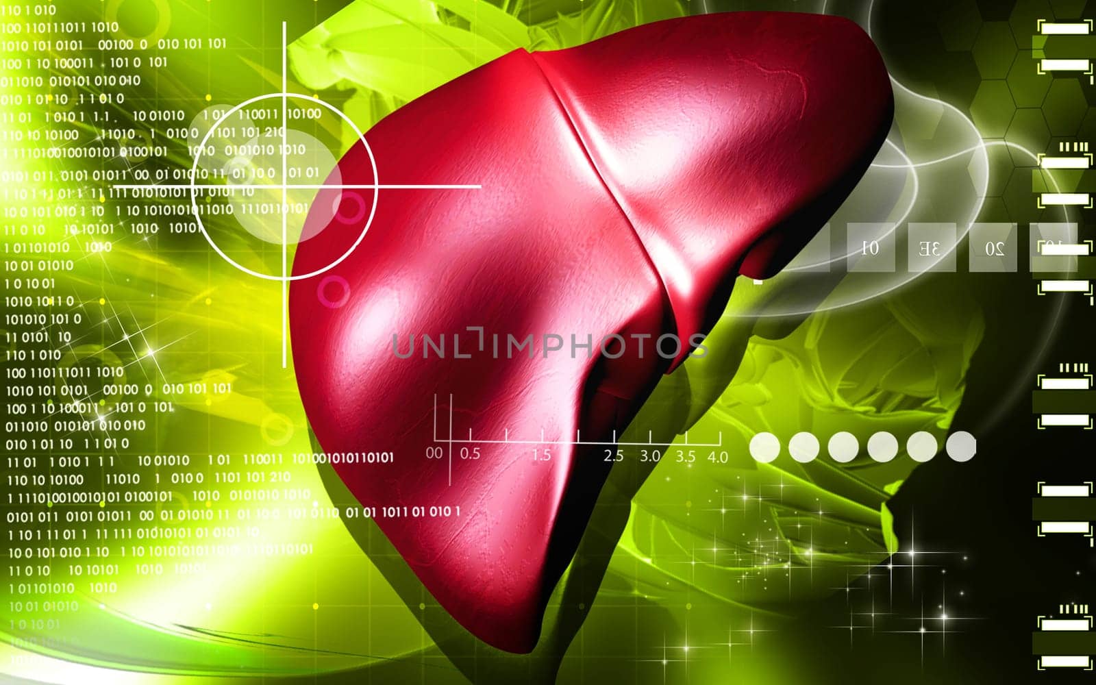 Digital illustration of liver in colour background