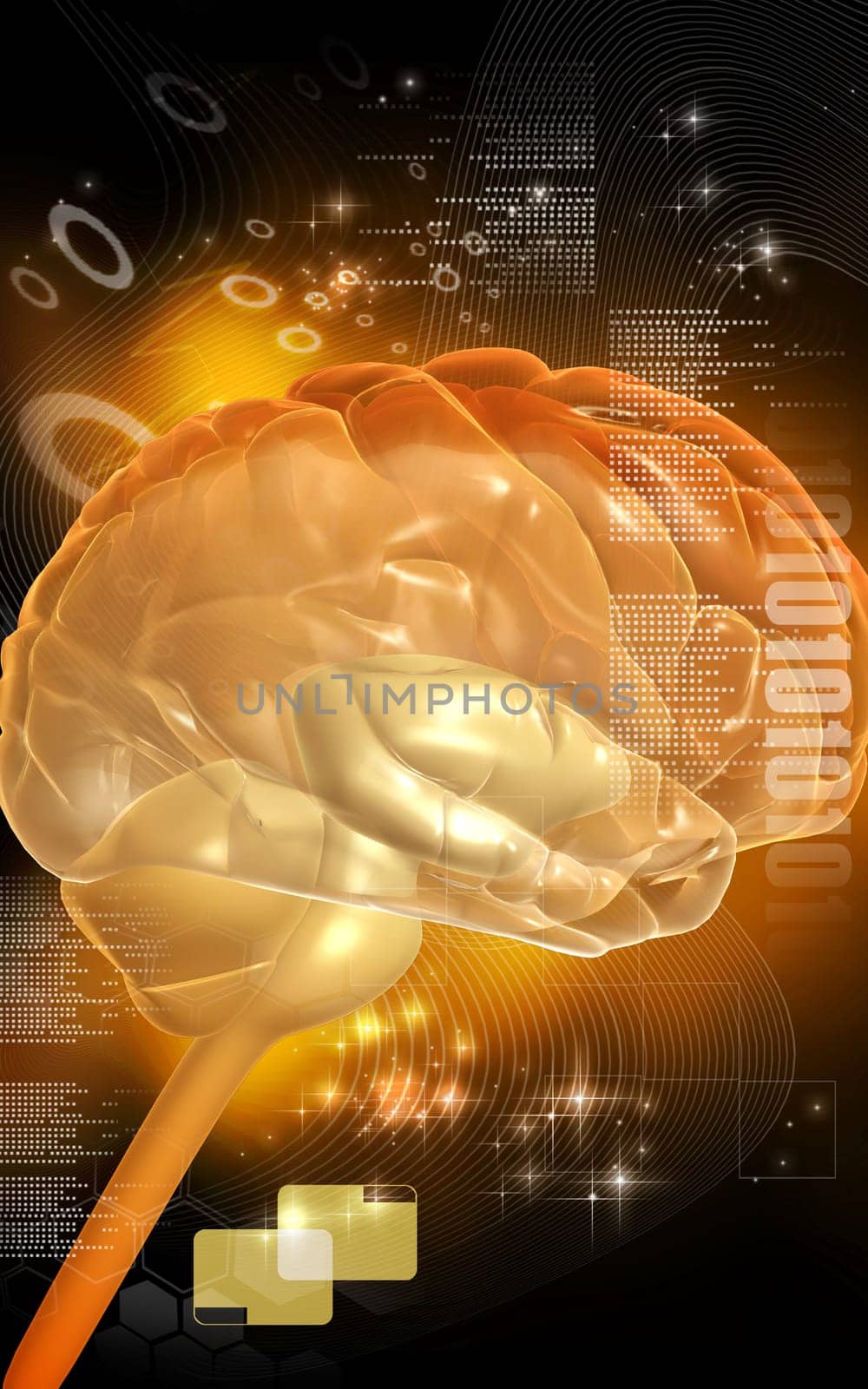 Digital illustration of brain in colour background