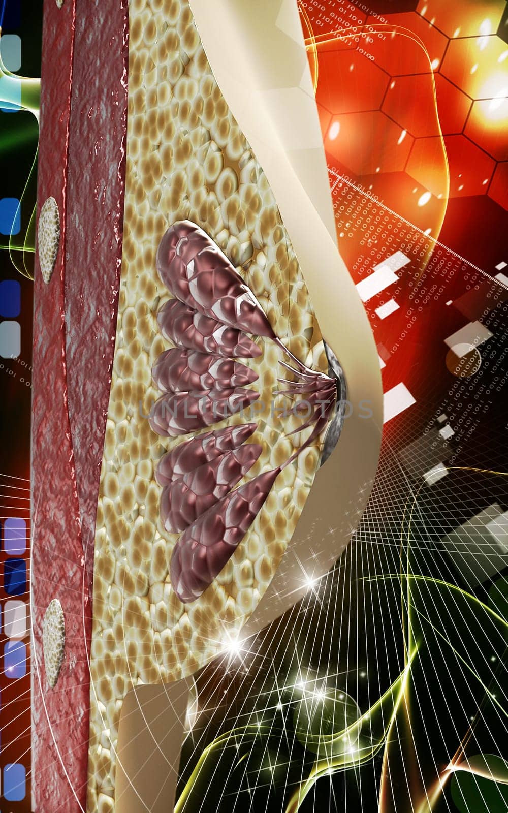 Digital illustration of breast in colour background