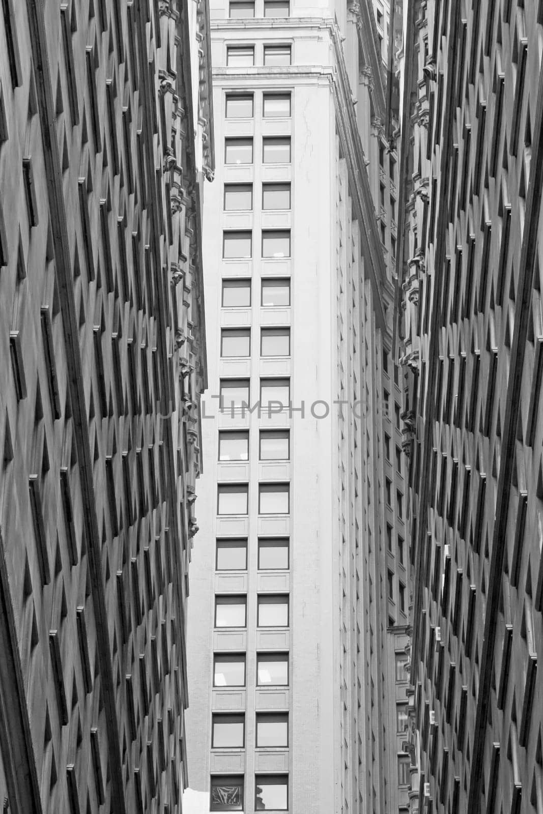 Monochromatic view of the skyscrapers. (New York City, USA). Vertically.
