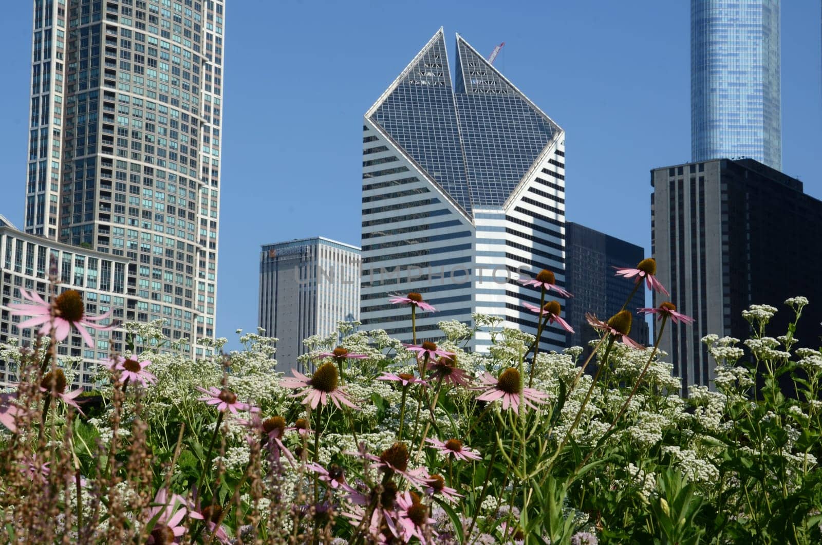 CHICAGO - JULY 19