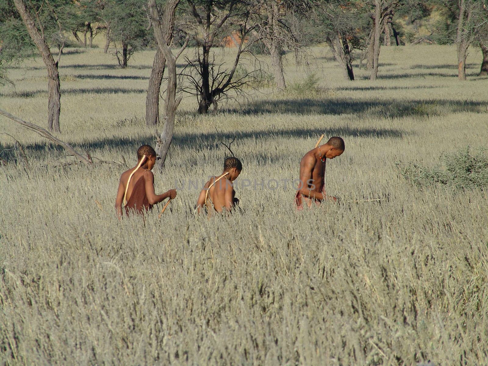 Katsan, Namibia - April 26