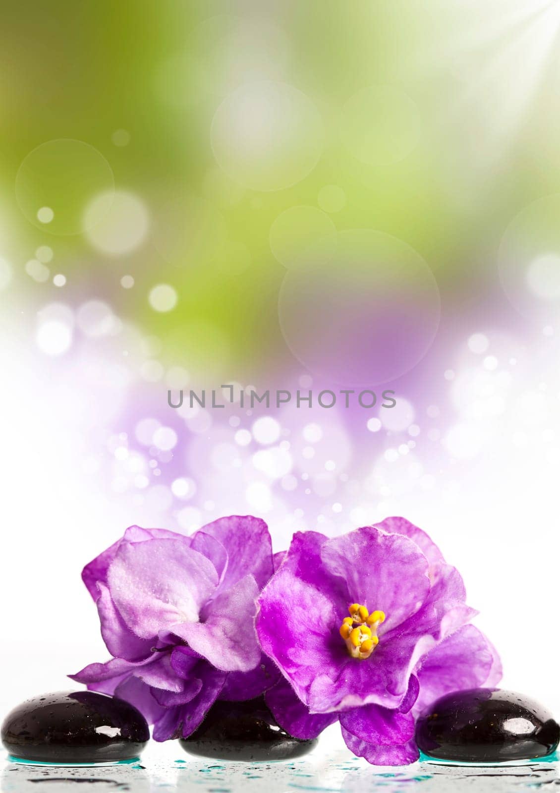Black spa stones and violet flower on colorful bokeh background