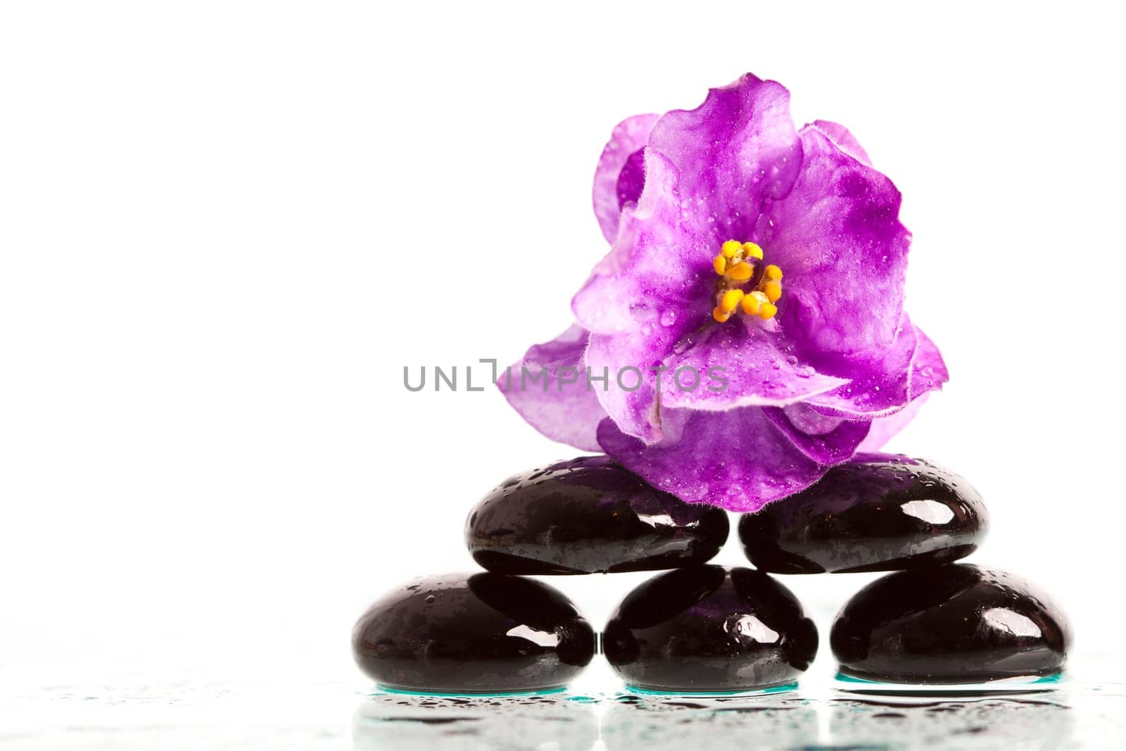 Black spa stones and violet flower on white background