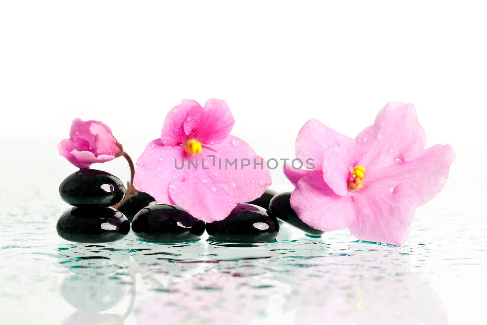 Spa stones and pink flower on colorful spring background