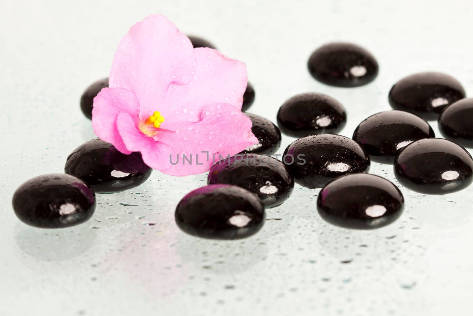 Spa stones and pink flower on colorful spring background